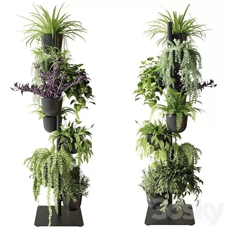 Rack with indoor plants in pots 3D Model