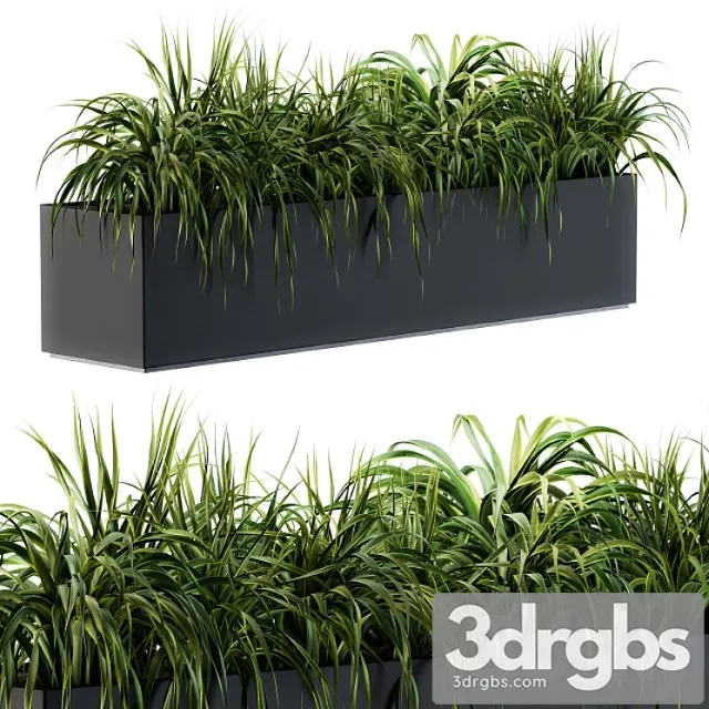 Ranch Grass Plants in Box Outdoor Set 63 3D Model Free