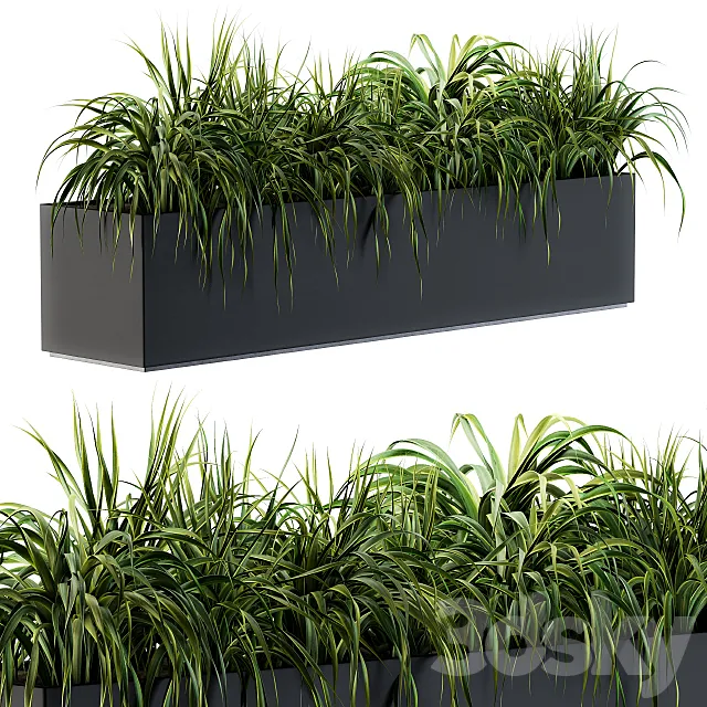 Ranch Grass plants in box - Outdoor Set 63 3D Model