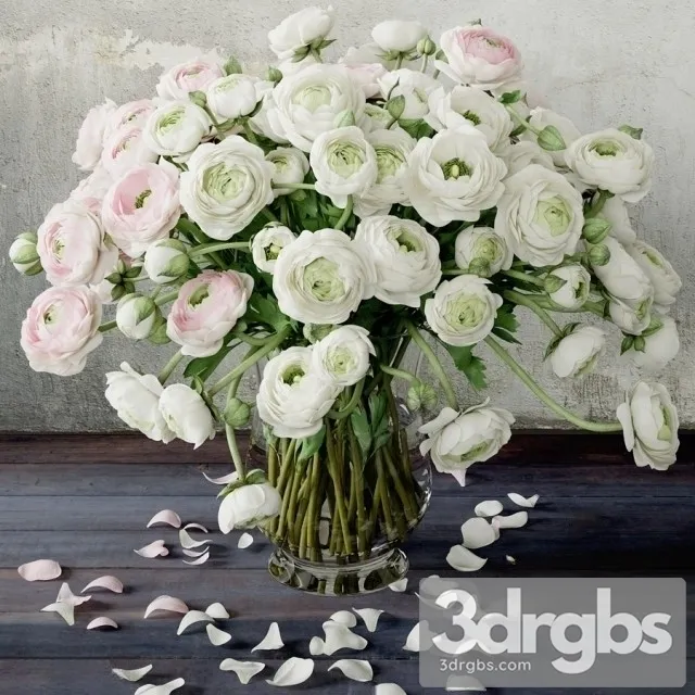 Ranunculus Bouquet 2 3D Model Free