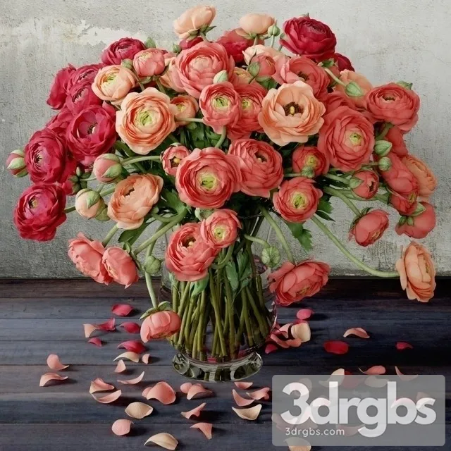 Ranunculus Bouquet 3D Model Free
