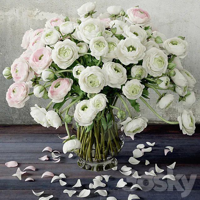 Ranunkulyus 2 3DModel