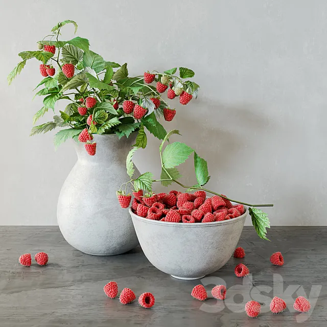 Raspberries 3D Model