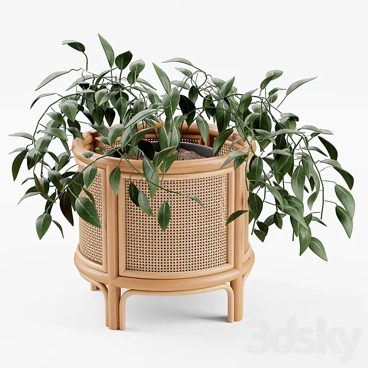 "Rattan 12 ""Planter" 3D Model Free