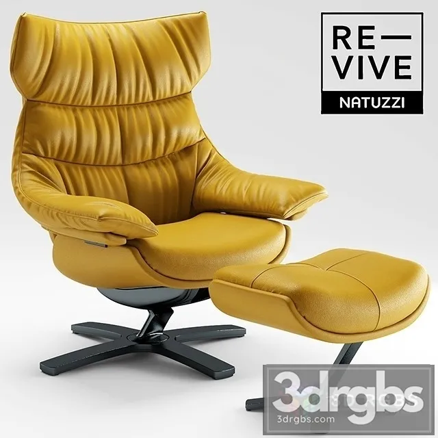 Re Vive Natuzzi Armchairr 3D Model Free