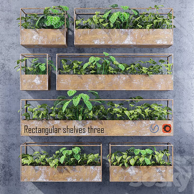 Rectangular shelves three 3D Model