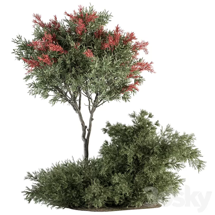 Red Crape Myrtle tree and Bush – Outdoor Garden Set 313 3D Model