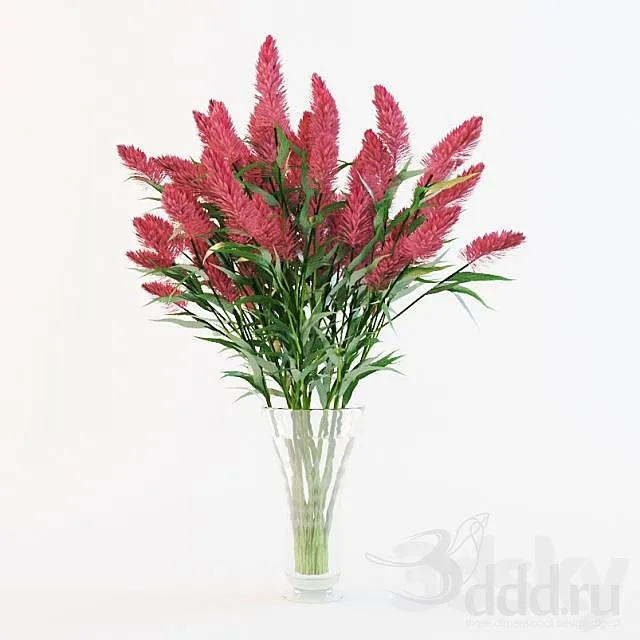 Red flower 3D Model
