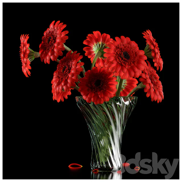 RED GERBERA 3DModel