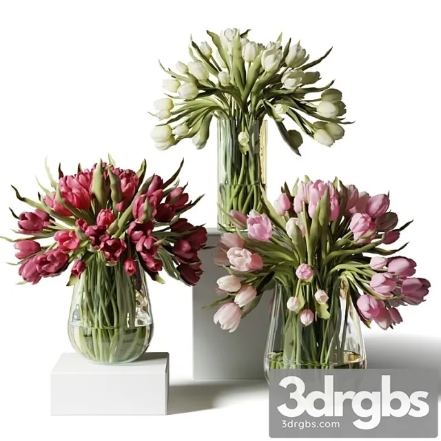 Red Pink and White Tulips in Glass Vases 3D Model Free