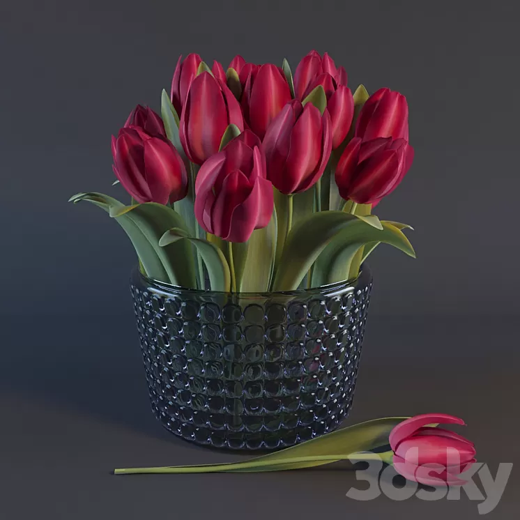 Red Tulips 3D Model