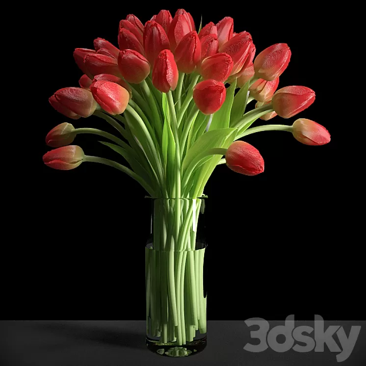 Red Tulips / Red tulips 3D Model