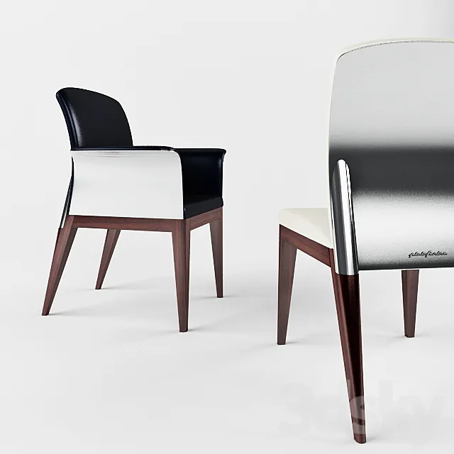 Reflex Angelo 3D Model