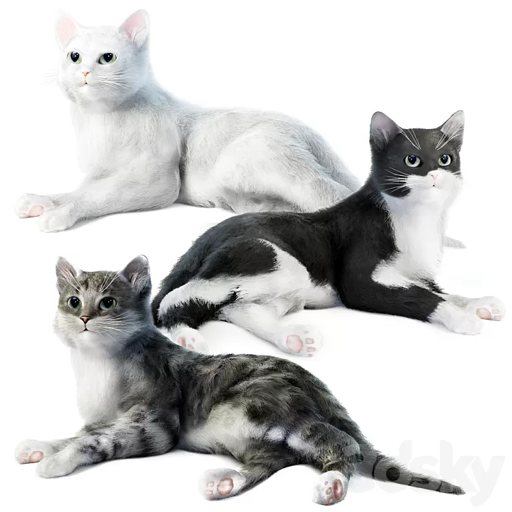 Relaxing cat 1 3D Model Free