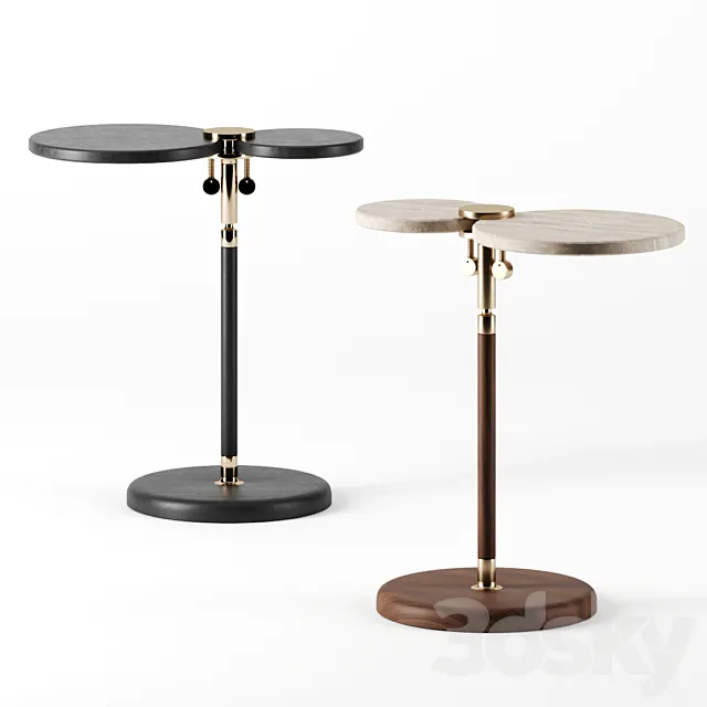 Remnants series table 3DModel