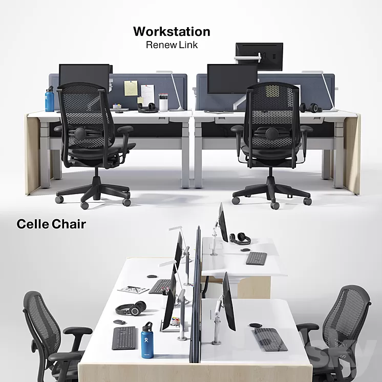 Renew Link Workstation & Celle chair 3D Model