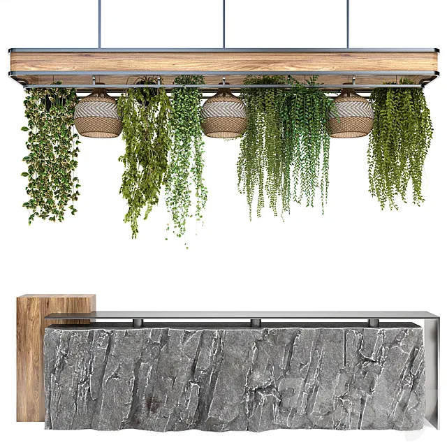 Restaurant counter with hanging plants Free Download