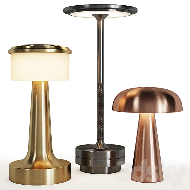 Restaurant lighting 01 Topwinson Purrini 3D Model