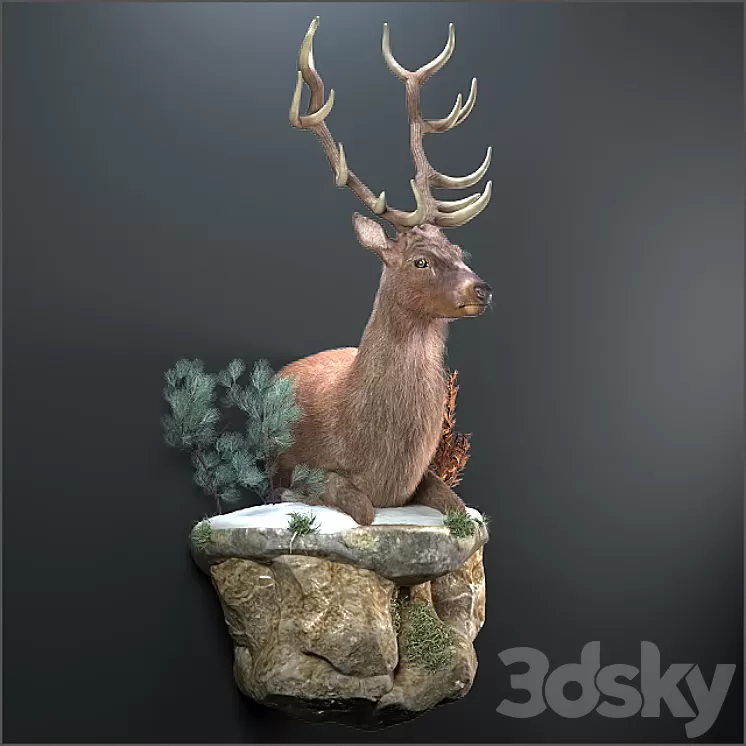 Resting deer. 3D Model