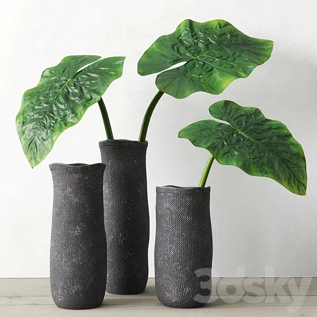 Restoration Hardware Crosshatch Concrete Vase Collection With Taro Leaves 3DModel