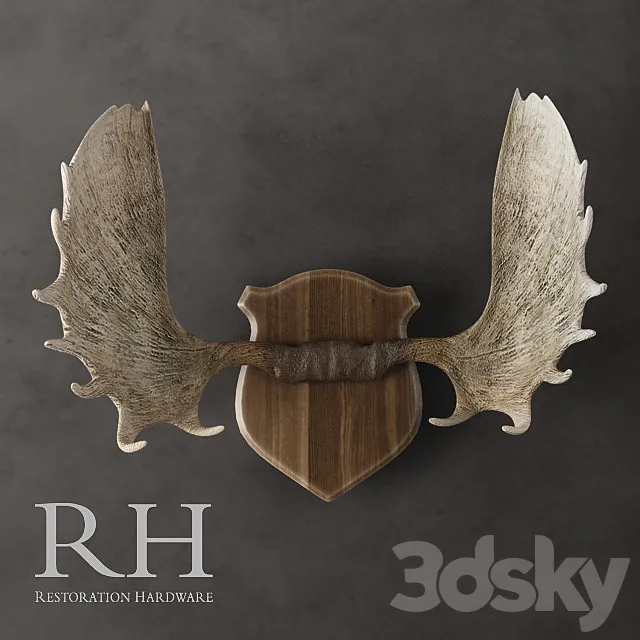 Restoration Hardware - Moose Antlers in Cast Resin 3DModel