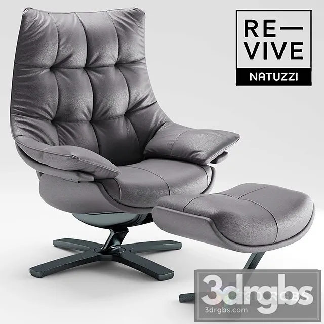 Revive Natuzzi 22 Armchair 3D Model Free