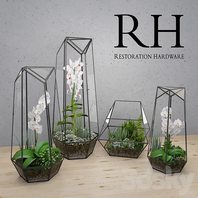 RH FACETED GLASS TERRARIUM 3D Model