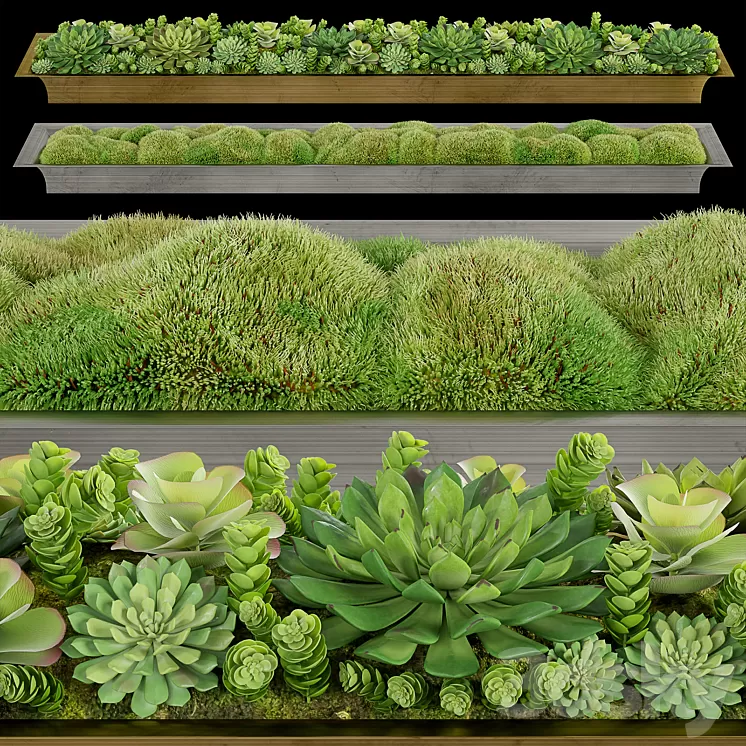 RH handcrafted tray 3D Model