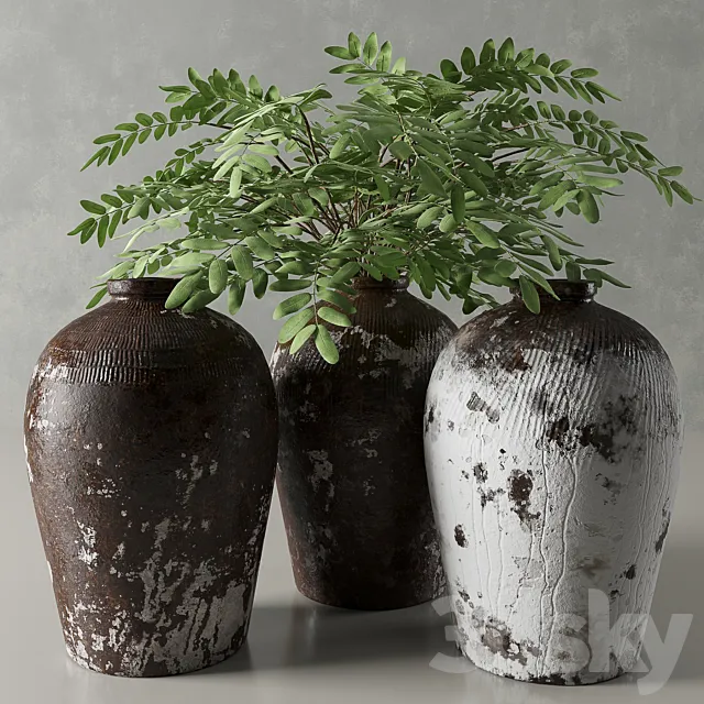 RH Rice Wine Vessels 3D Model