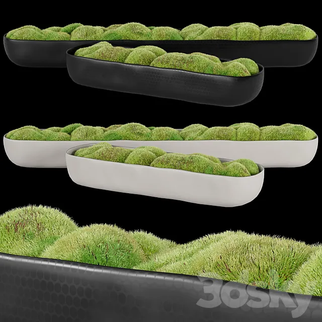 Rh_organic_sculpted_trough 3DModel