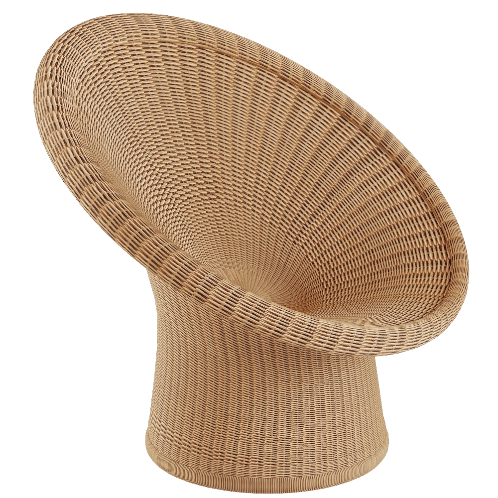 RICHARD LAMPERT - Armchair E10 3D Model