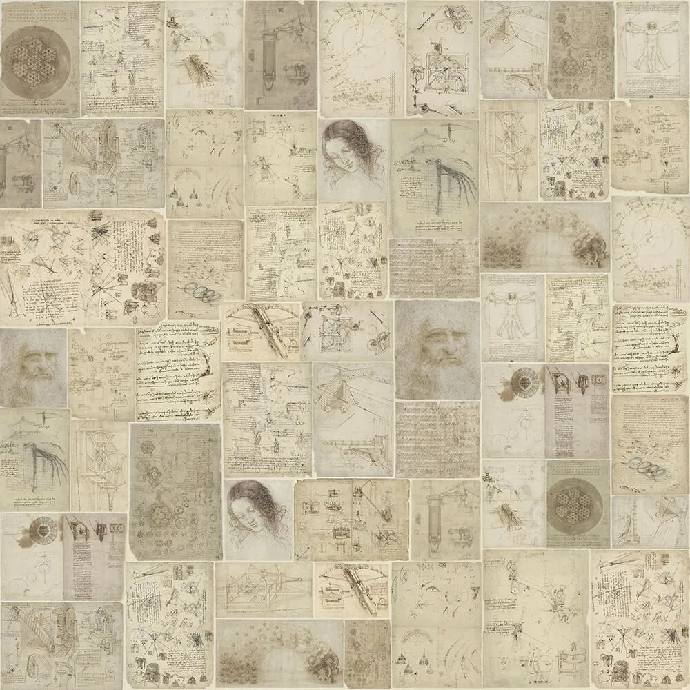 Rimura - Wallpaper Atlanticus 3D Model