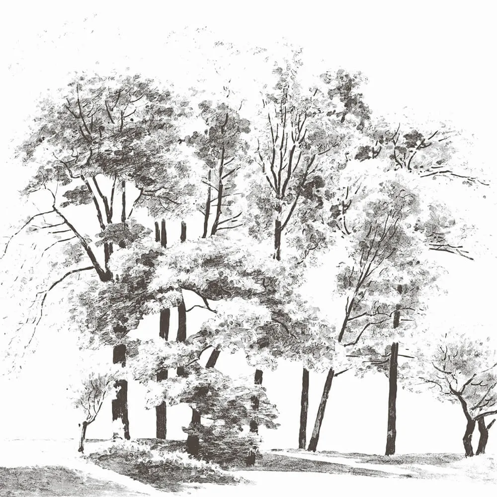 Rimura - Wallpaper Bomen 3D Model