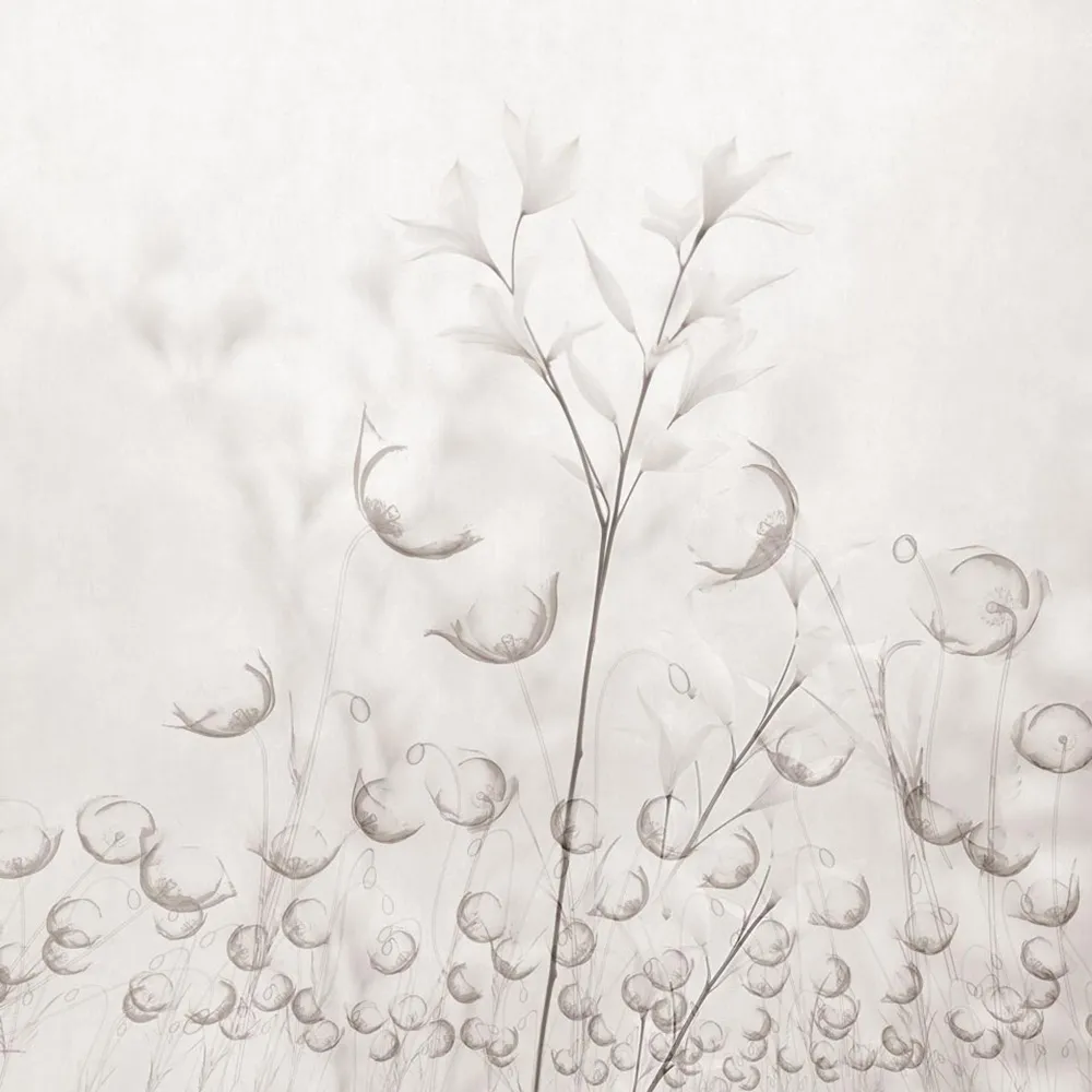 Rimura - Wallpaper Caly 3D Model