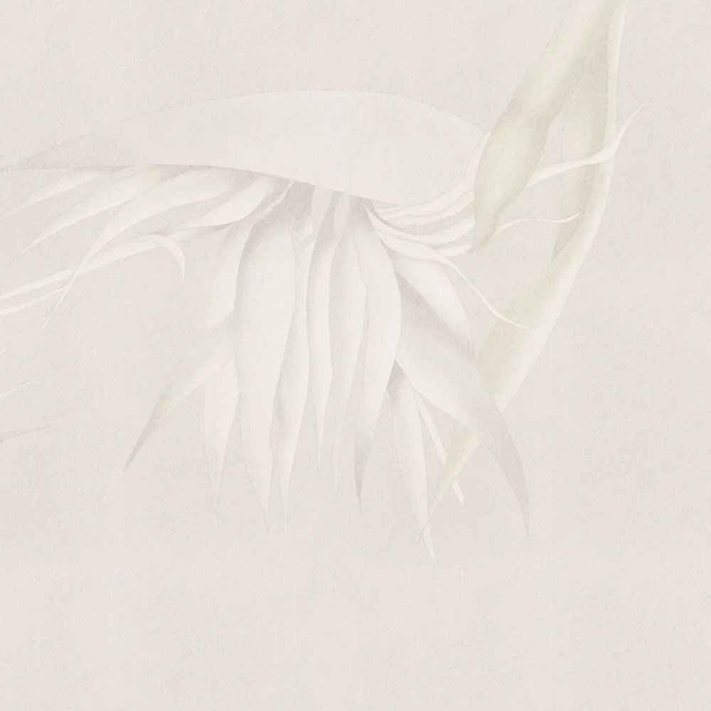 Rimura - Wallpaper Creazione 3D Model