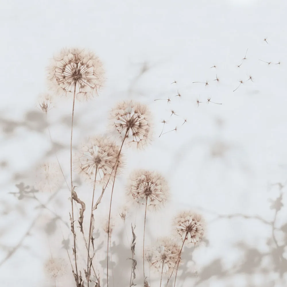 Rimura - Wallpaper Desiderio 3D Model