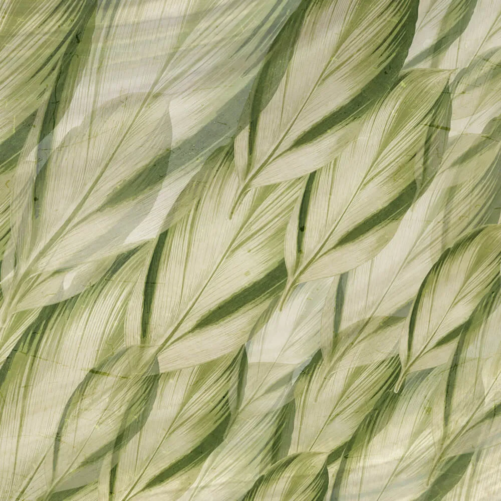 Rimura - Wallpaper Dracaena 3D Model