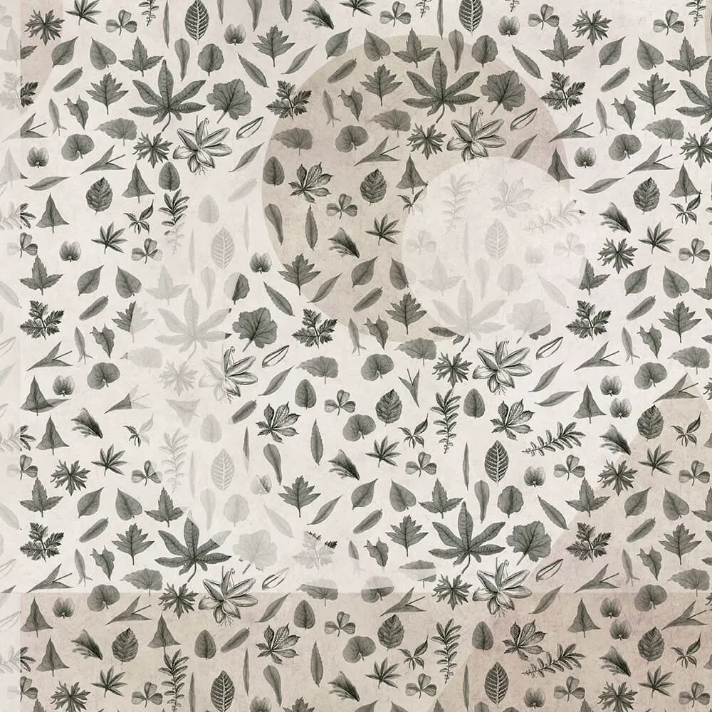 Rimura - Wallpaper Eclipse 3D Model