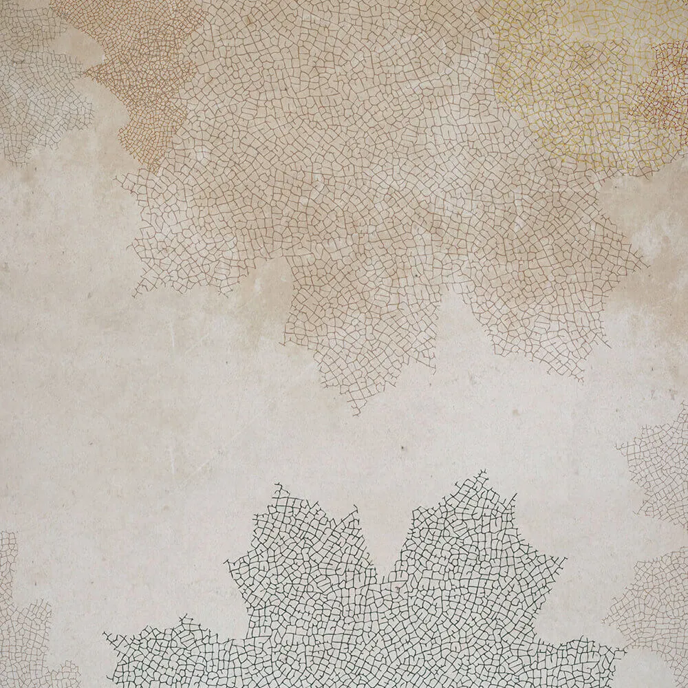 Rimura - Wallpaper Fossil 3D Model