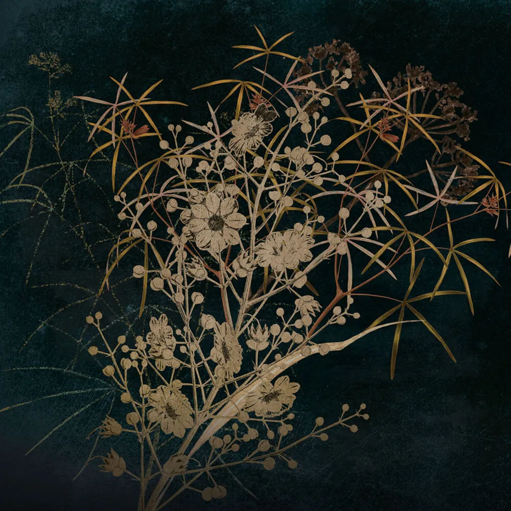 Rimura - Wallpaper Fuscus 3D Model