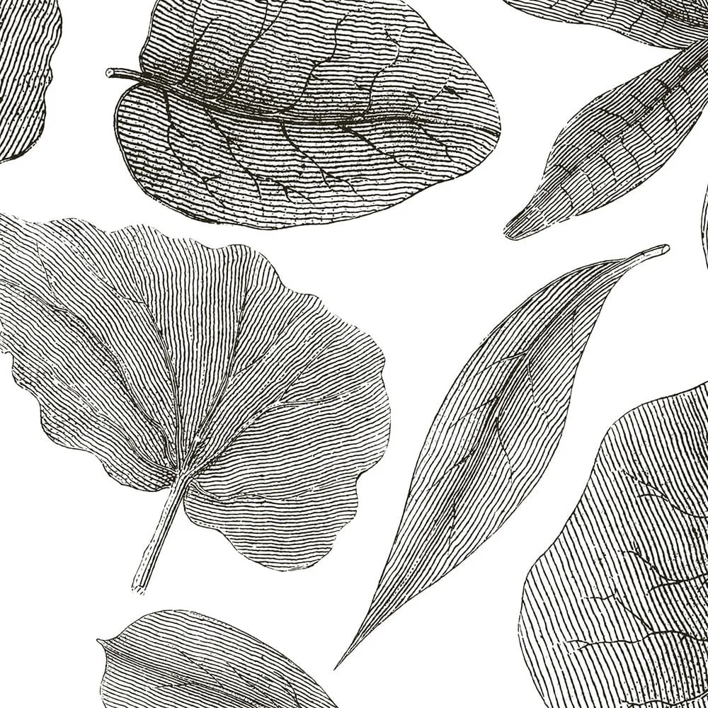 Rimura - Wallpaper Giant Leaves 3D Model