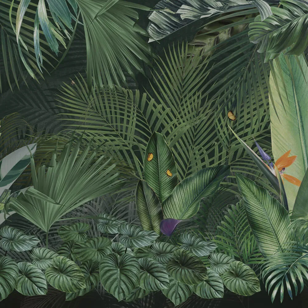 Rimura - Wallpaper Guava 3D Model