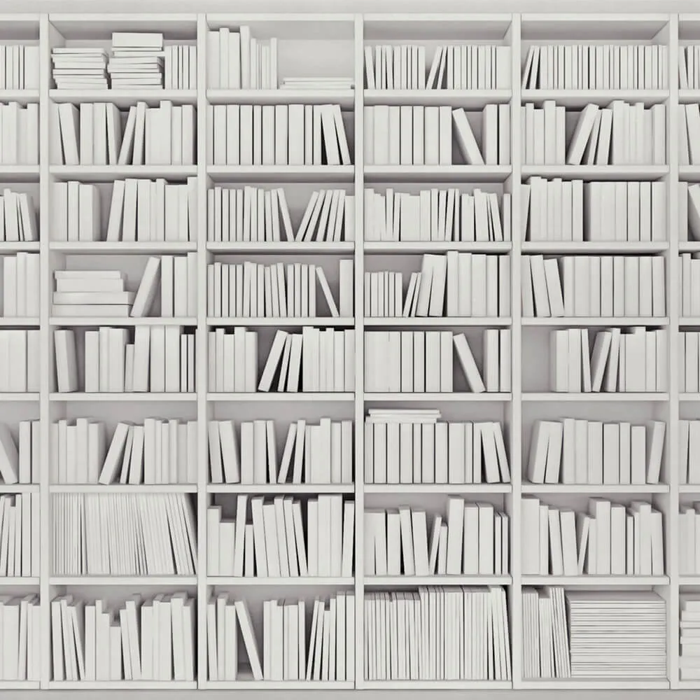 Rimura - Wallpaper Library 3D Model