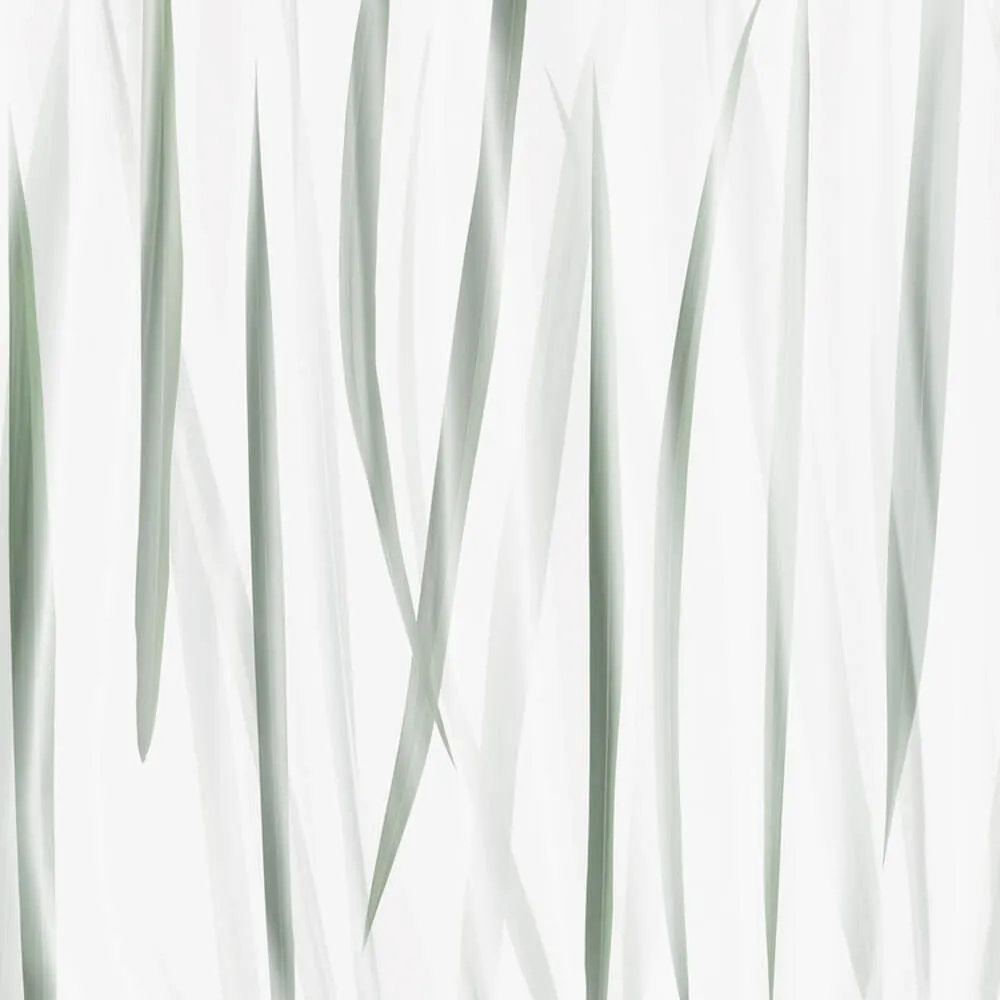 Rimura - Wallpaper Morning Light 3D Model