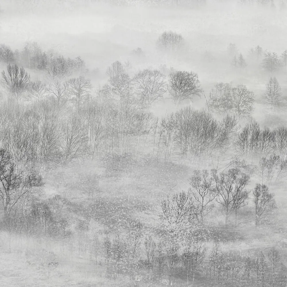 Rimura - Wallpaper Nebula 3D Model