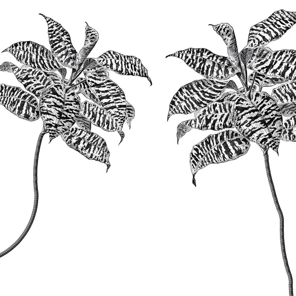 Rimura - Wallpaper Oasis 3D Model