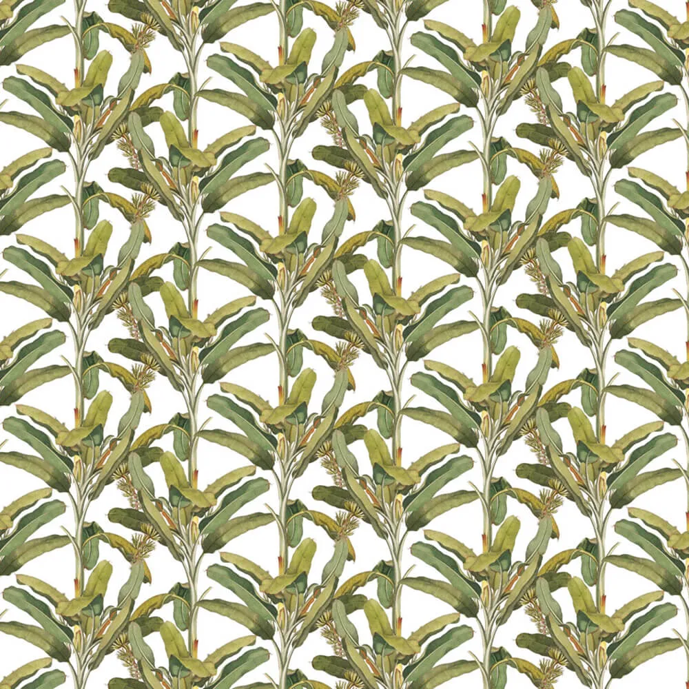 Rimura - Wallpaper Palmizio 3D Model