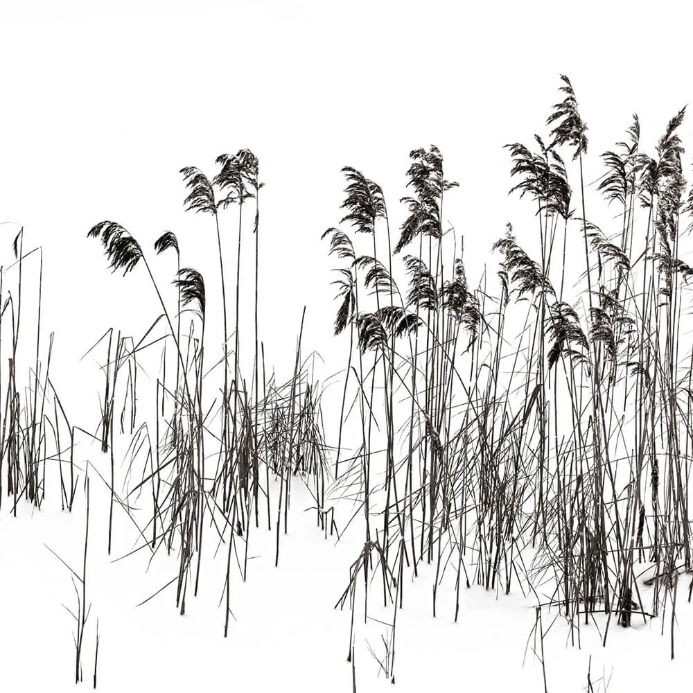 Rimura - Wallpaper Soldera 3D Model