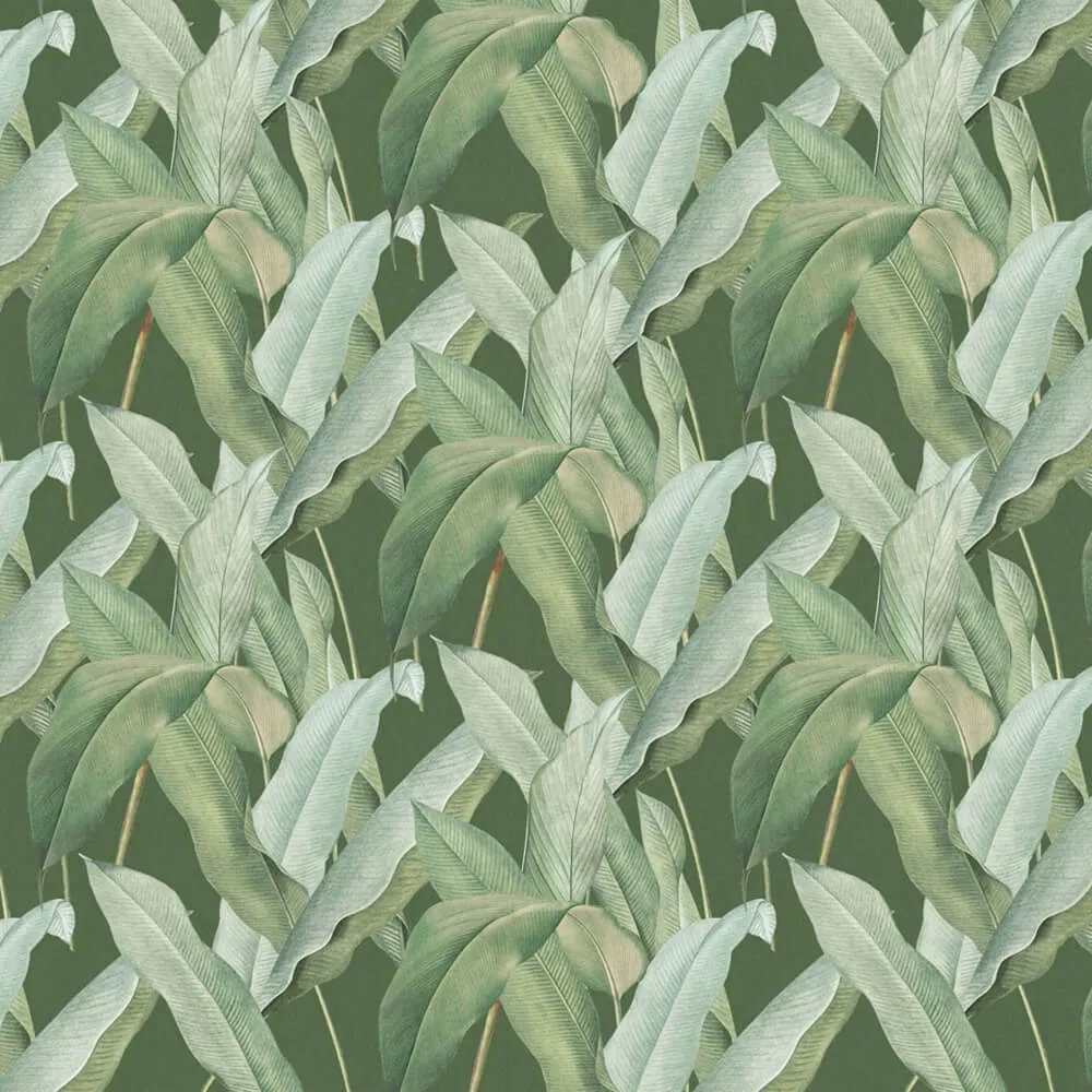 Rimura - Wallpaper Sundarbans 3D Model