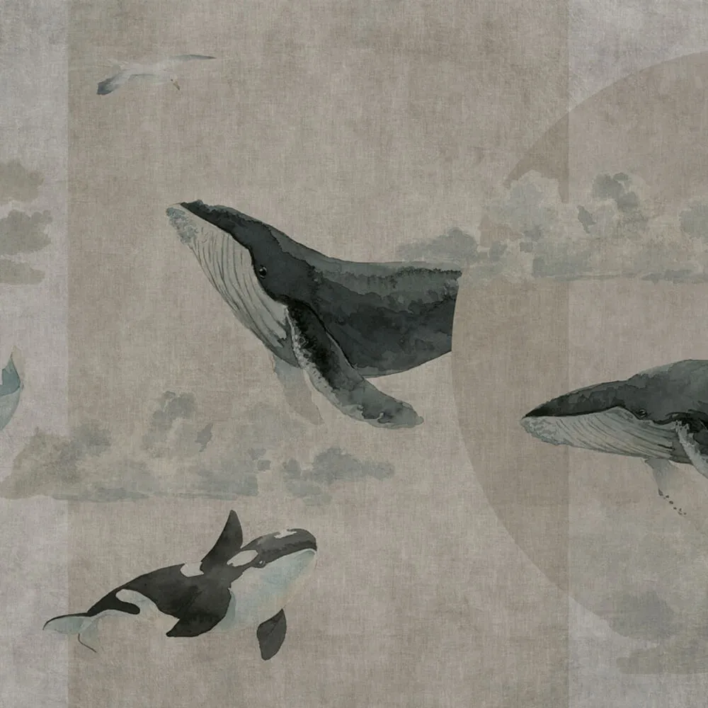 Rimura - Wallpaper Whales 3D Model